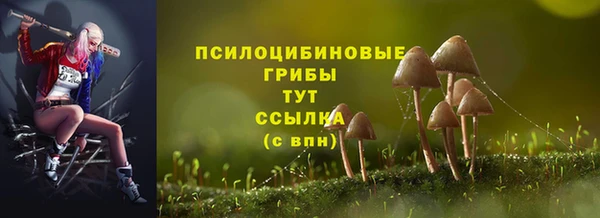 кокс Баксан