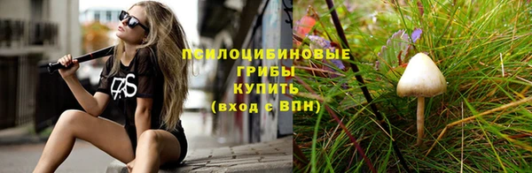 бутират Арсеньев