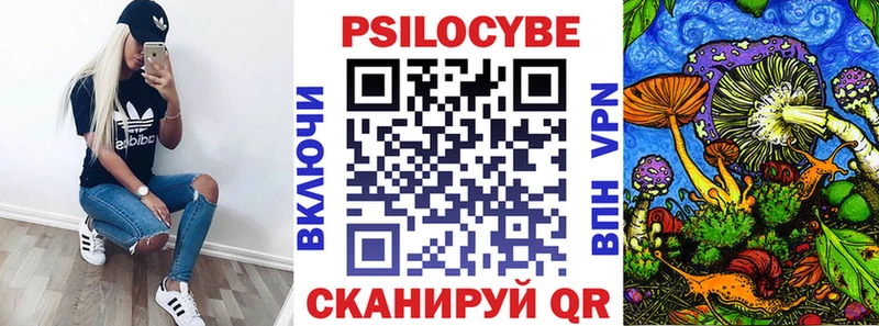как найти   Чудово  Галлюциногенные грибы ЛСД 
